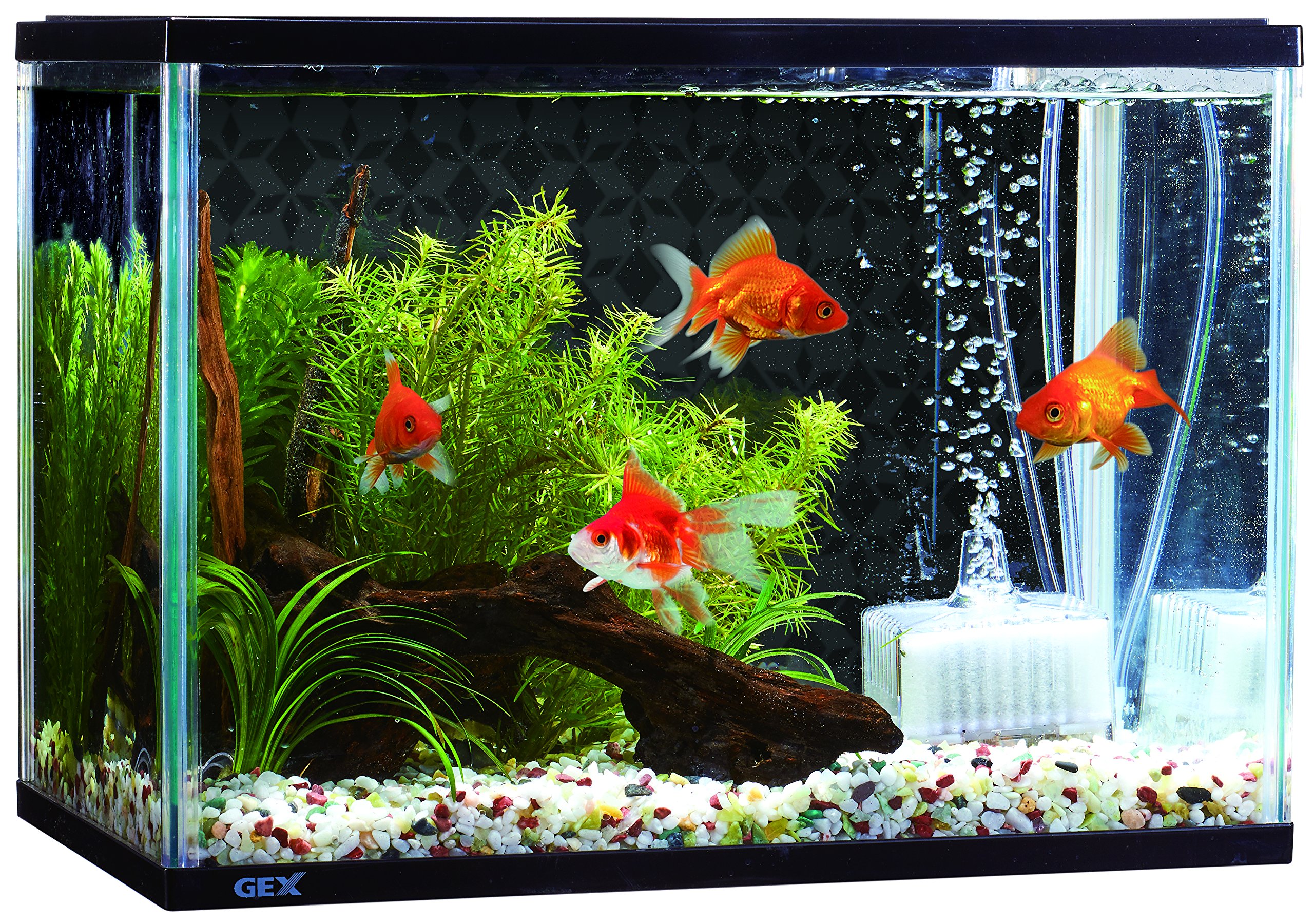 Amazon | ジェックス 金魚のお部屋和彩M | GEX | 飼育セット 通販